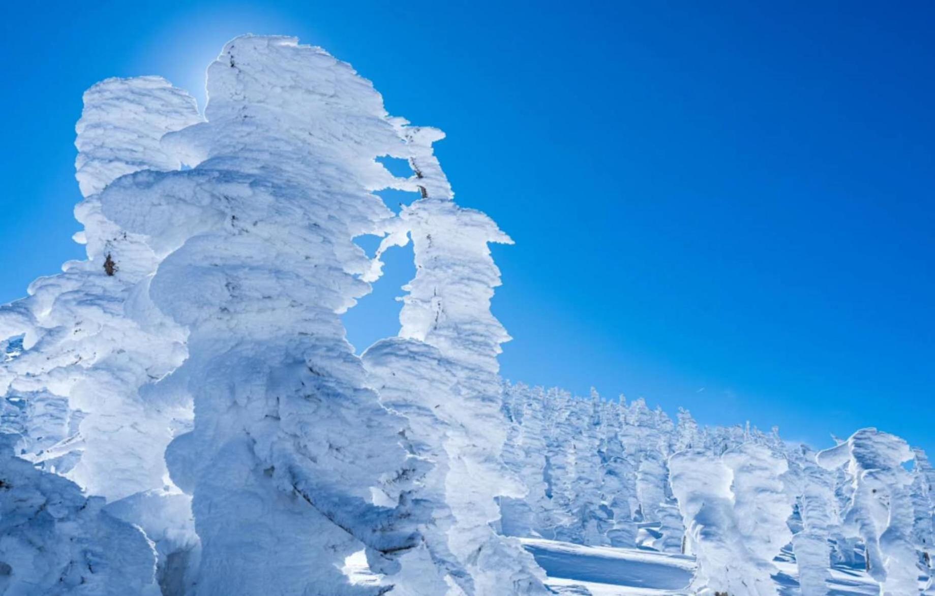 Snowfall Meteor 飛雪流星 Kaminoyama Ngoại thất bức ảnh