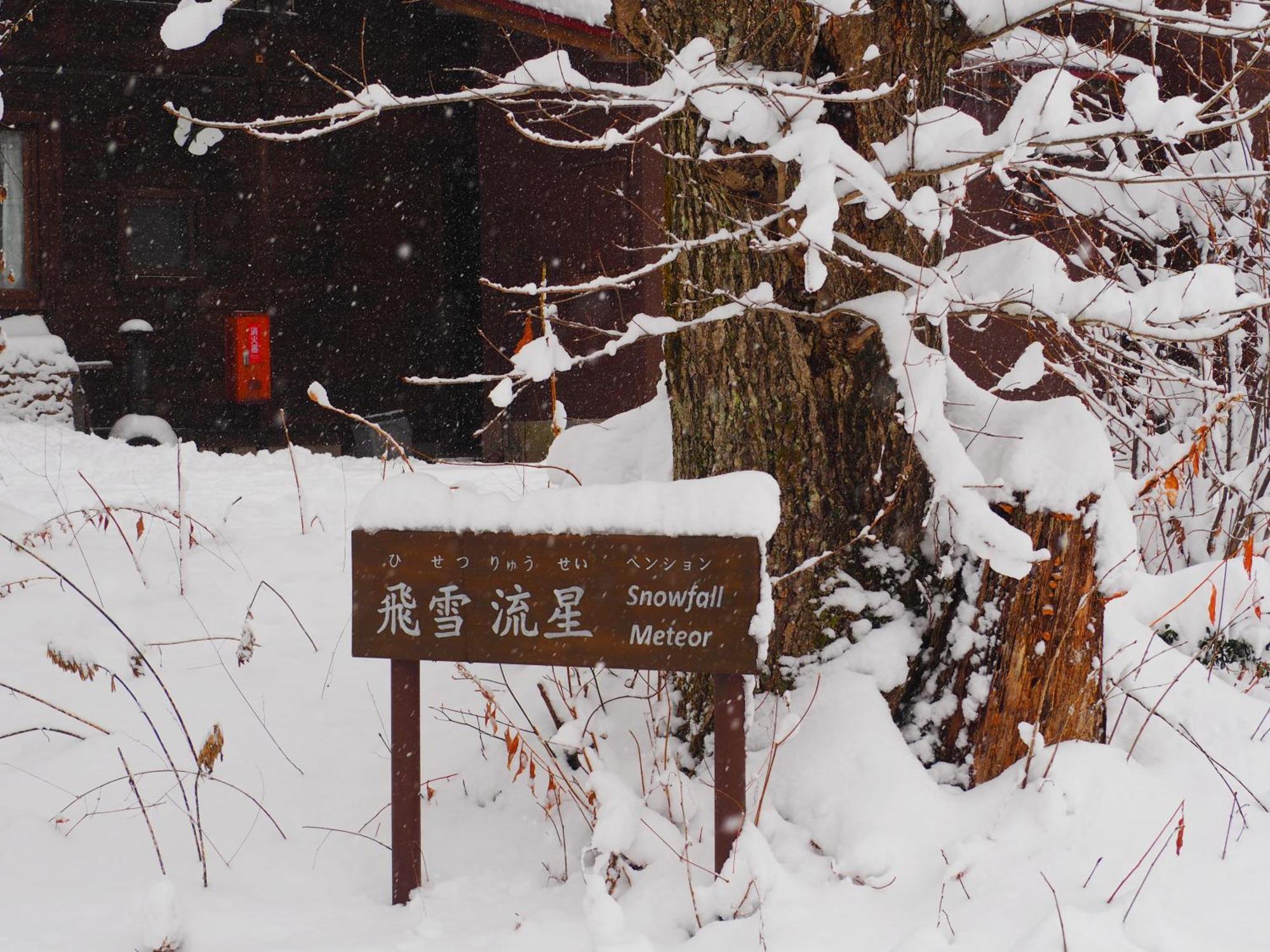 Snowfall Meteor 飛雪流星 Kaminoyama Ngoại thất bức ảnh